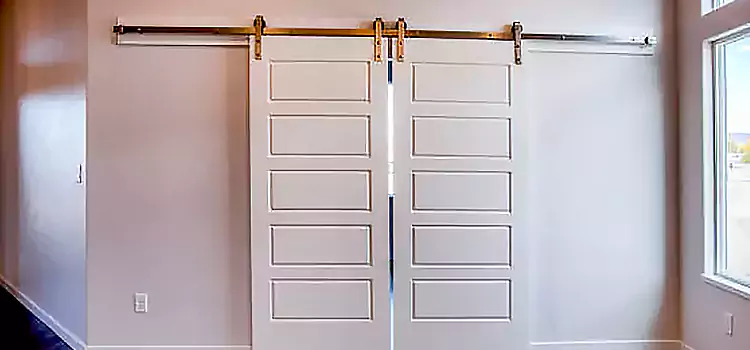 Glass Barn Door with Installation Hardware Kit Lake Elsinore